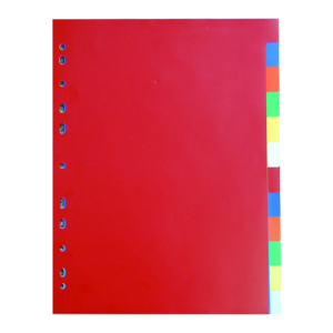 Sortator A4, 2x6 culori PP