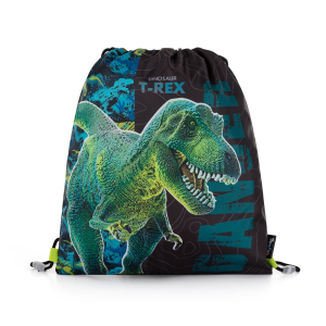Geanta de pantofi cu imprimeu - Dinosaurus Premium